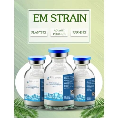 Aquaculture em strains, bean dregs feed starter, chicken pigs and sheep animal manure fermentation bed composting