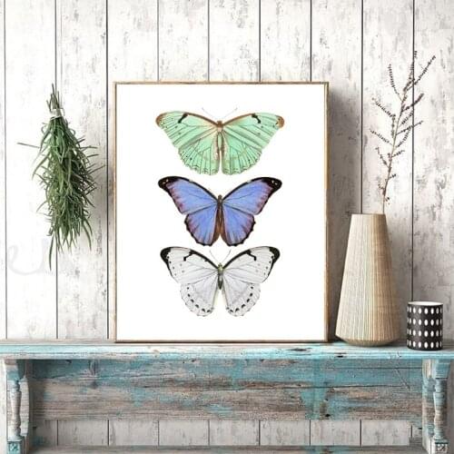 Butterfly Farmhouse Wall Art Print Vintage Poster Wall Decor , Insect Butterfly Nature Educational Art Picture Canvas Painting