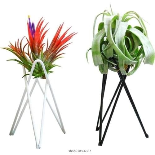 Nordic Style Air Plant Holder Metal Flower Pot Stand Geometric Iron Tillandsia Holder Art Display Home Garden Ornament Wholesale