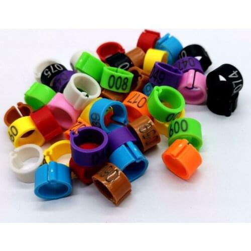 No.001~100 Birds Feet Clip Rings Inner Diameter 8mm Width 5mm 100Pcs Plastic Ring Pigeon Dove Quail Foot Ring Animal Carrier