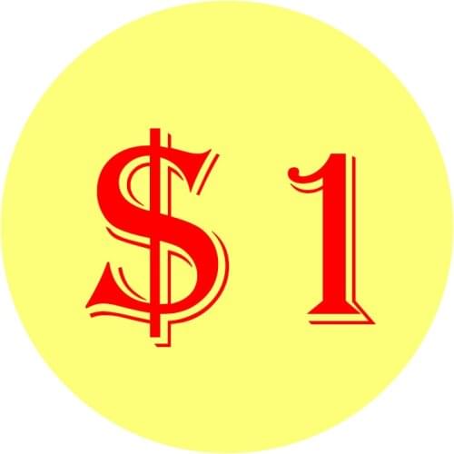 1 USD For Extra Shipping Cost Shipping Fees