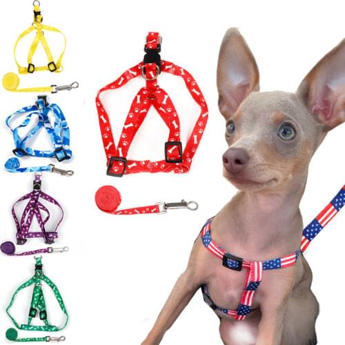 Small Dog Cat Harness Leash Adjustable Vest Collar Puppy Outdoor Walking Chihuahua Terier Schnauzer