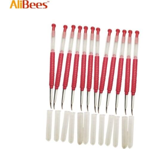 5Pc/1 Package Move Bee Worms Needle Beekeeping Pin With Shift Coil Shift Bees Grafting Needle Beekeeper Tools Pin