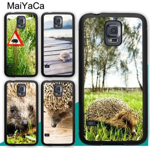 Prickly Hedgehog Case For Samsung A21S A20e A71 A51 A10 A40 A50 A70 Galaxy S20 Plus S10 S9 Note 20 Ultra