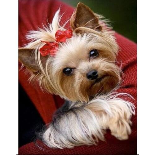 Full Square round Drill 5D DIY Diamond Painting Yorkshire Terrier Cute Pet Dogs Embroidery Beads Cross Stitch Mosaic Home Decor