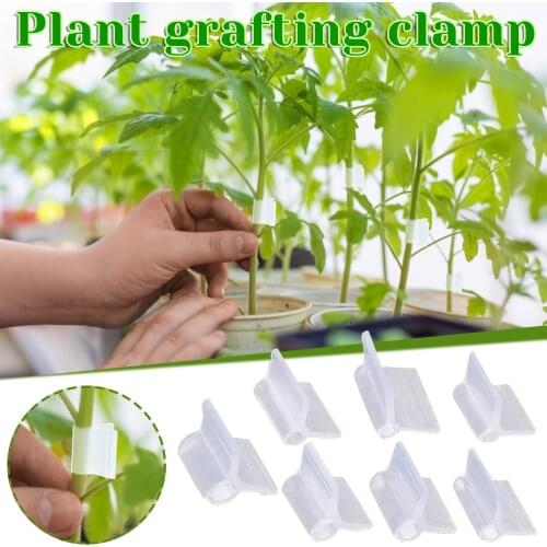 100PC Gardening Special Grafting Clamp Tomato Grafting Clamps Eggplant Grafting Clamp Jardinage Garden Potager Plant Accessories