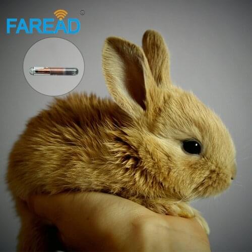 X10pcs Free shipping ICAR Animal RFID implants chip 1.4*8mm FDX-B ISO11784/5 LF microchip for Pet cat dog identification