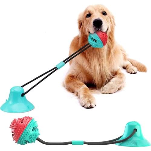 Dog interactive sucker push TPR ball toy molar bite elastic rope pet teeth cleaning chew pet supplies