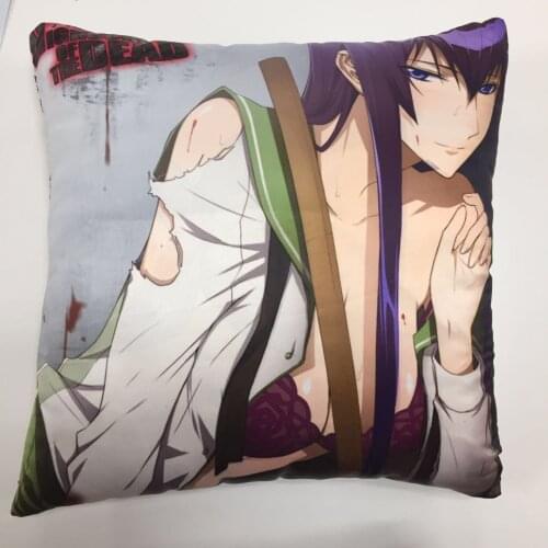 New Gakuen Mokushiroku HIGHSCHOOL OF THE DEAD Kissen Sitzkissen nur Kissenbezug 219