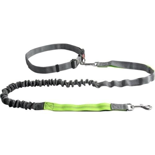 2020 New Traction Rope Multi-color Reflective Running Dog Chain Pet Supplies Small and Medium-sized Dog Accessories