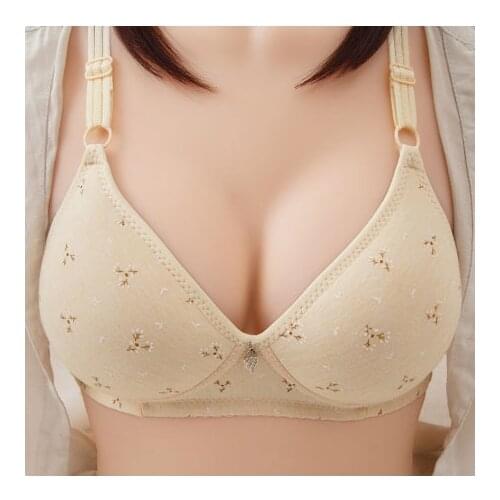 BingYanFuShi Plus Size 32-44 A B C Cup Bra Thin Padded Push Up Cotton Underwear Wireless Bralette Ladies Lingerie SEXY Woman C09