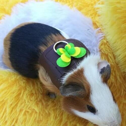 Pet Harness Bow-knot Decor Anti-biting Guinea Pig Chest Strap Leash for Walking Butterfly Decoration Fragrant Pig Traction Belt