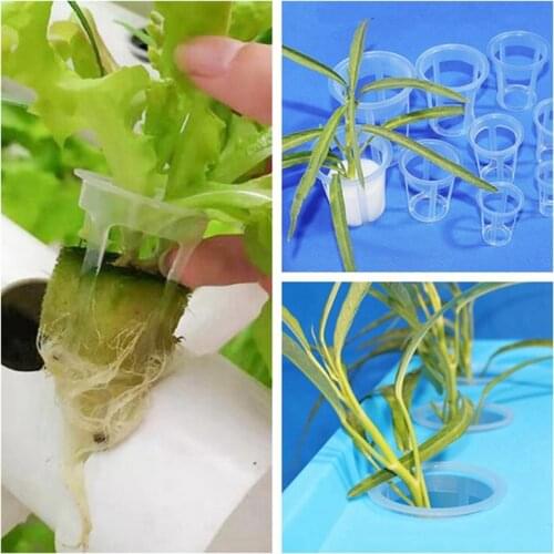 100pcs Net Pot Hydroponics Basket 8 Size Available NTF Mesh Pot for Soiless Culture Fresh Material