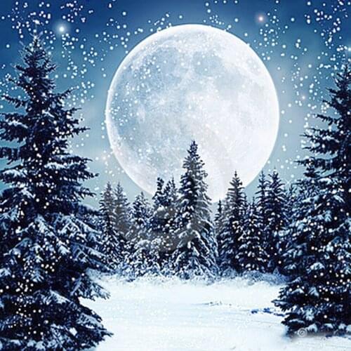 A2591 11CT/14CT/18CT/25CT/28CT oil street patterns Counted Cross Stitch DIY Cross Stitch Kits Embroidery Needlework Sets