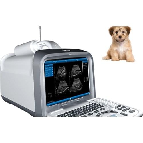Best Quality 4D Color Portable Doppler Veterinary Ultrasound for Animal