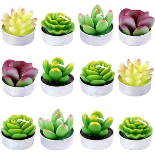 New 12Pcs Decorative Succulent Plants Tealight Candles Kit Cute Smokeless Candles Perfect for Festival Wedding Props House Party