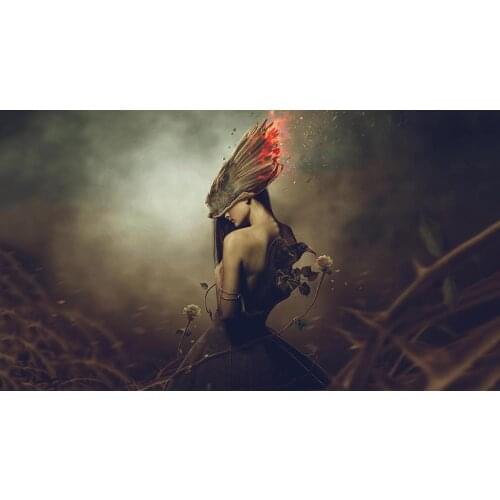 2017 High quality living room home decoration modern printed canvas wall paintings alternative art women steampunk