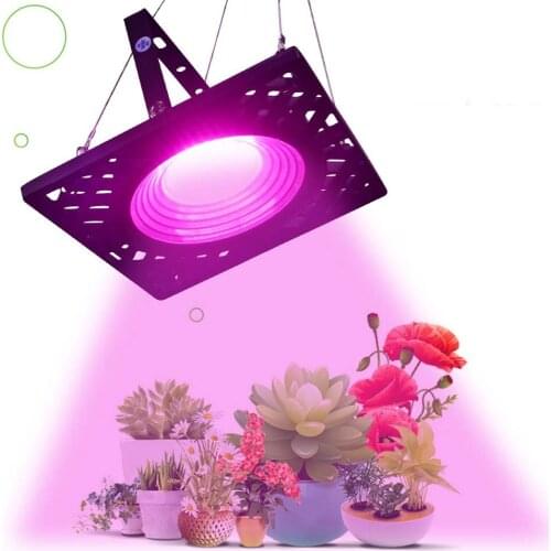 50W Full Spectrum Grow Lights EU AU Plug AC 110 220V For Deformed Seedling Succulent Plants Lamp Bulb Flower Tent Growing Light