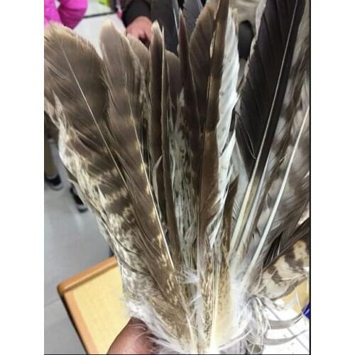Wholesale 100pcs/set 15-30cm/6-15inch long natural Pheasant Feather Rare eagle feather diy decorative feathers collection