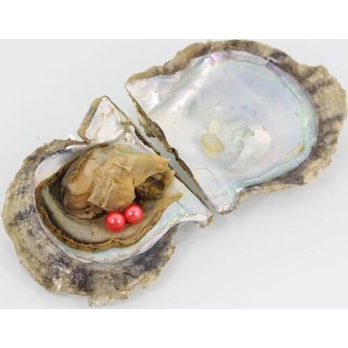 20pcs Vacuum-packed Akoya Pearl Oysters 6-7mm Loose Round Twin Akoya Pearls in Saltwater Oyster Two Pearls Wish Pearl Gift FP237