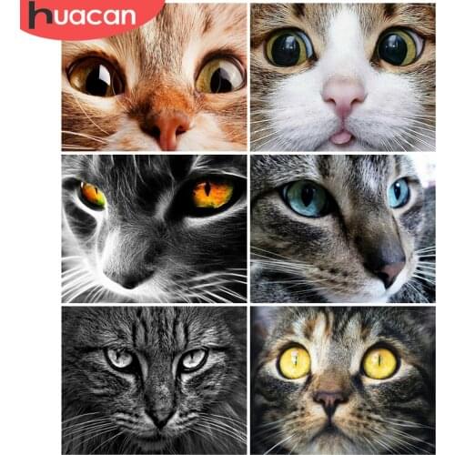HUACAN 5D DIY Picture By Numbers Cat Unique Gift Wall Art HandPainted Paint By Number Animal Childrens Room Decor