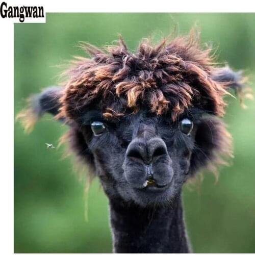 Funny alpaca Animal 5D Diamond Embroidery diamond painting mosaic full square round drill kids rhinestone painting room decor