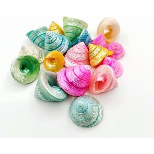 Cute Colorful Dyeing natural Conch Seashells Fun Gifts for Kids Handmade Materials Home Garden Decoration Photography Props