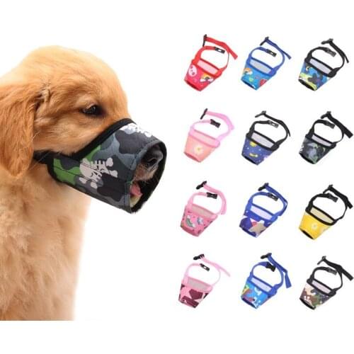 100Petcent Electric Collars For Dogs
