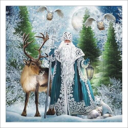 3D DIY Diamond Embroidered Mosaic Diamond Snow Tree Eagle Crossover Rhinestone Home Decor Gift T488