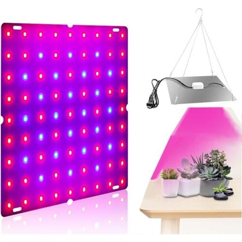 Dongcheng Plant Lamps