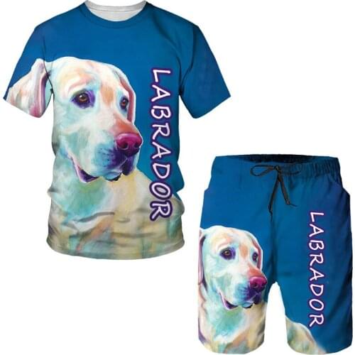 2021 New Dog Mens 2-piece Short Sleeve + Shorts 3dt Shirt Sports Suit Mens Fitness Beach Pants Outdoor Running Mens Printing