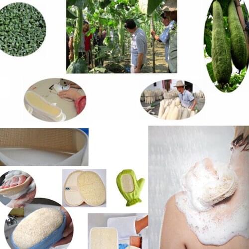 5PCS New Natural Loofah Bath Shower Body Washing Sponge Scrubber Exfoliator Pad Back Scrubber Bath brush
