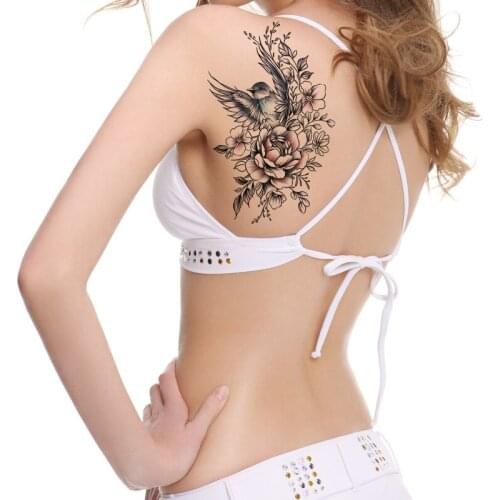 CN Health Body Cosmetics