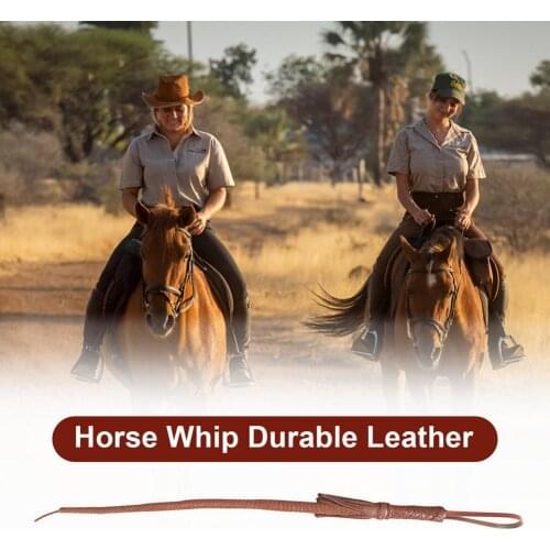 Liilaimic Horse Sled