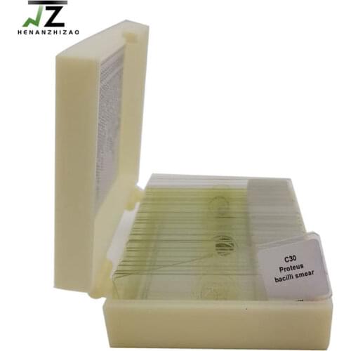 30pcs Microbiology microscope prepared slides bacteria prepared slides set