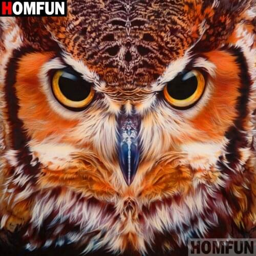 HOMFUN Diamond Painting Full Square/Round Drill 5D DIY "Animal owl" Daimond Embroidery Rhinestone Cross Stitch Decor A19776