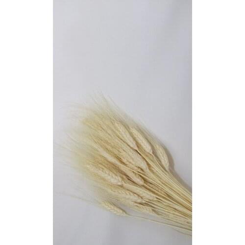 Artificial flower Home Dry Ears Bundle Multi Outdoor decoration artificial flower искусственный цветок