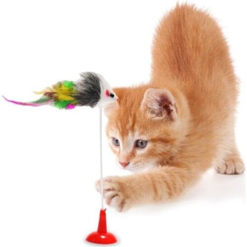 Suction cups 20 Cm Cat Mouse Toy
