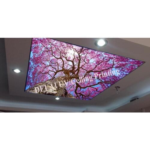 T-2016 berry printing ceiling film with led strip for ceiling decoration function as ceiling tiles