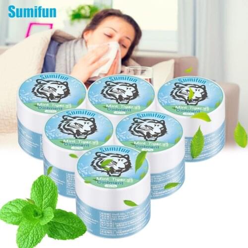 5Pcs Tiger Balm Mint Cooling Oil Headache Dizziness Colds Treatment Cream Refreshing Mosquito Bite Anti Itching Care Plaster