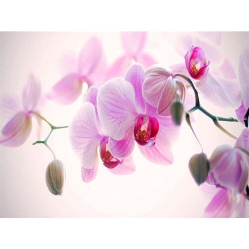 Flower Orchid DIY Embroidery 11CT Cross Stitch Kits Craft Needlework Set Cotton Thread Printed Canvas Home Design