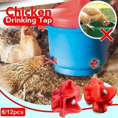 Water Drinking Chicken Waterer Automatic Poultry Drinkers Tool Farm Drinker