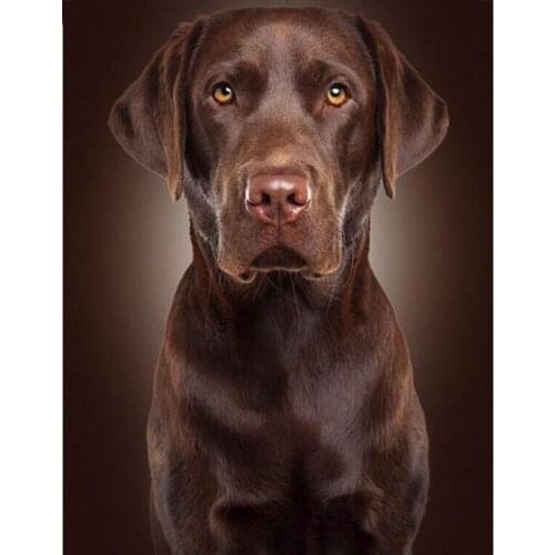 Full Square/round 5D DIY Diamond Painting Labrador retriever 3D Diamond Embroidery Sale Rhinestones Mosaic Home Decoration