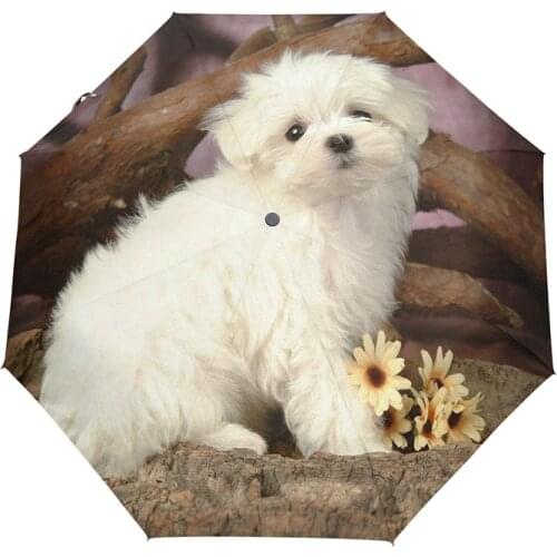 Cute Puppy Automatic Umbrella Windproof Maltese Dog Travel Folding Umbrella Lightweight Compact Parasol Umbrellas Rain Women