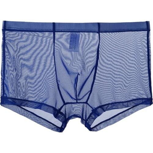 Mens Sexy Mesh Boxer Briefs Thin Transparent Underwear Casual Shorts Comfortable Trunks Underpant Breathable