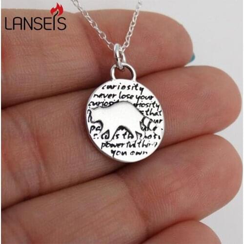1pcs Inspirational Raccoon Charm NecklaceCute Animal girl Friends Pendant