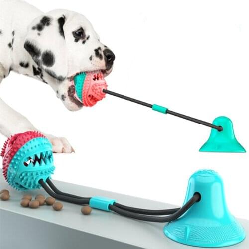 Sucker dog toy molar leakage feeding device bite resistant ball dog toy