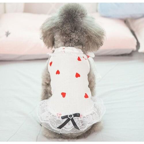 New Thin Dog Net Dress Teddy Bear Small Dog Clothing Cat Pet Clothing