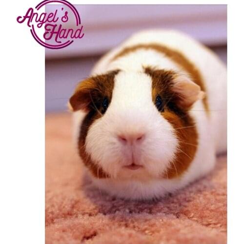 Full,Diamond Embroidery,Guinea Pig,5D Diamond Painting,Cross Stitch,Diamond Mosaic,diamond pattern,chicken decor wall stickers