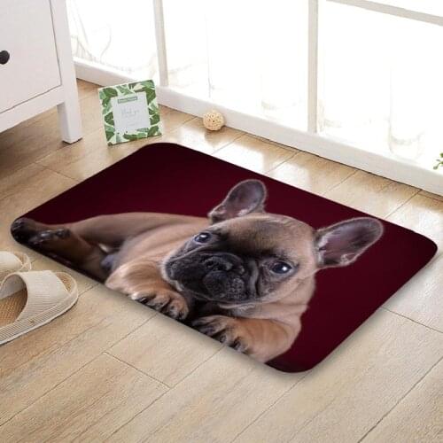 Custom Bulldog Funy Doormat Floor/Bath/Kitchen/Beach Mat Flannel Sponge Fabric 3D Printed Shaggy Decoration For Bedroom
